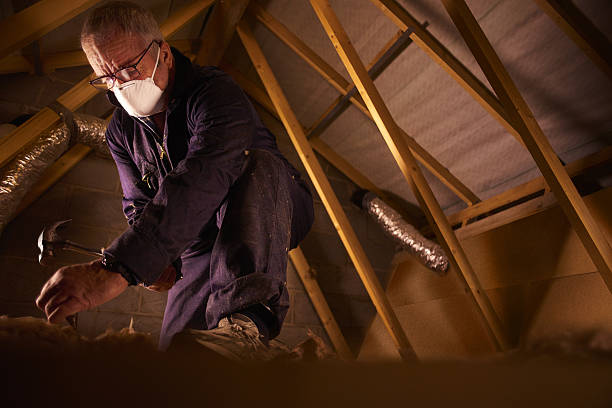 Best Commercial Insulation in Oxford, KS